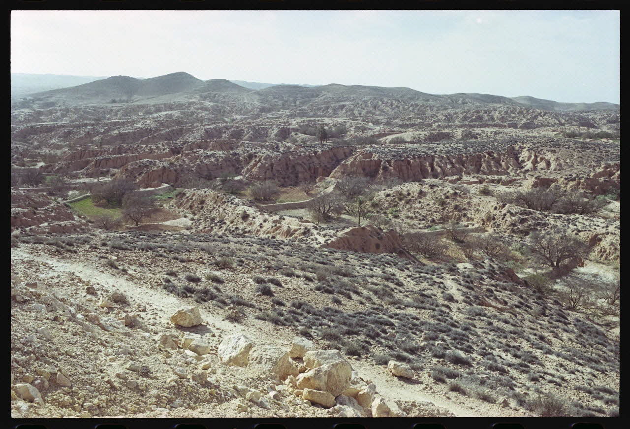 photographie MNATP. Enquête sur l'huile d'olive conduite par Jean-François Charnier (2003) Gouvernorat de Gabès, Tunisie 2003 Ph.2003.28.100 Photo