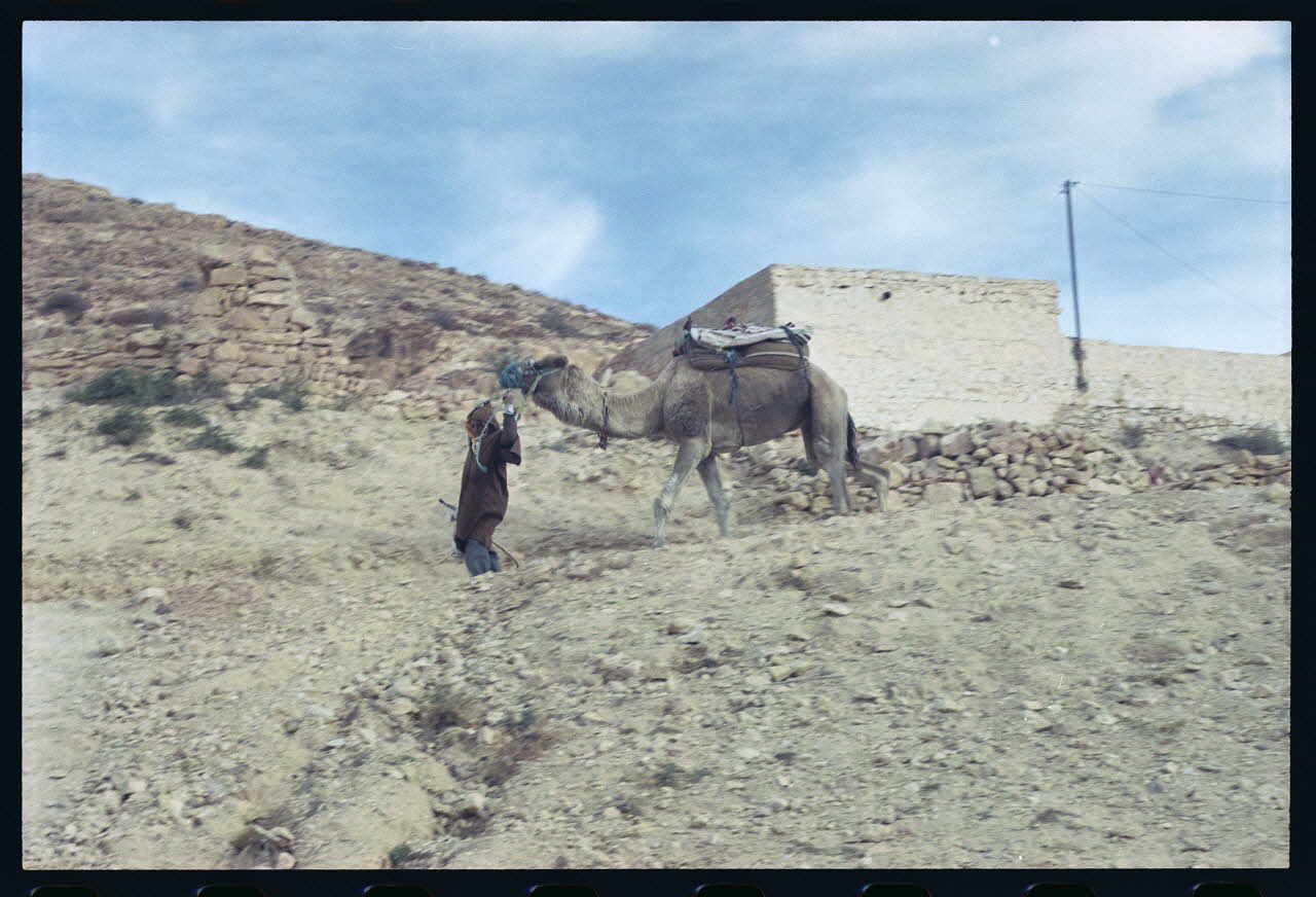 photographie MNATP. Enquête sur l'huile d'olive conduite par Jean-François Charnier (2003) Gouvernorat de Gabès, Tunisie 2003 Ph.2003.28.103  Photo