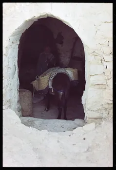 photographie MNATP. Enquête sur l'huile d'olive conduite par Jean-François Charnier (2003) Gouvernorat de Gabès, Tunisie 2003 Ph.2003.28.104 Photo