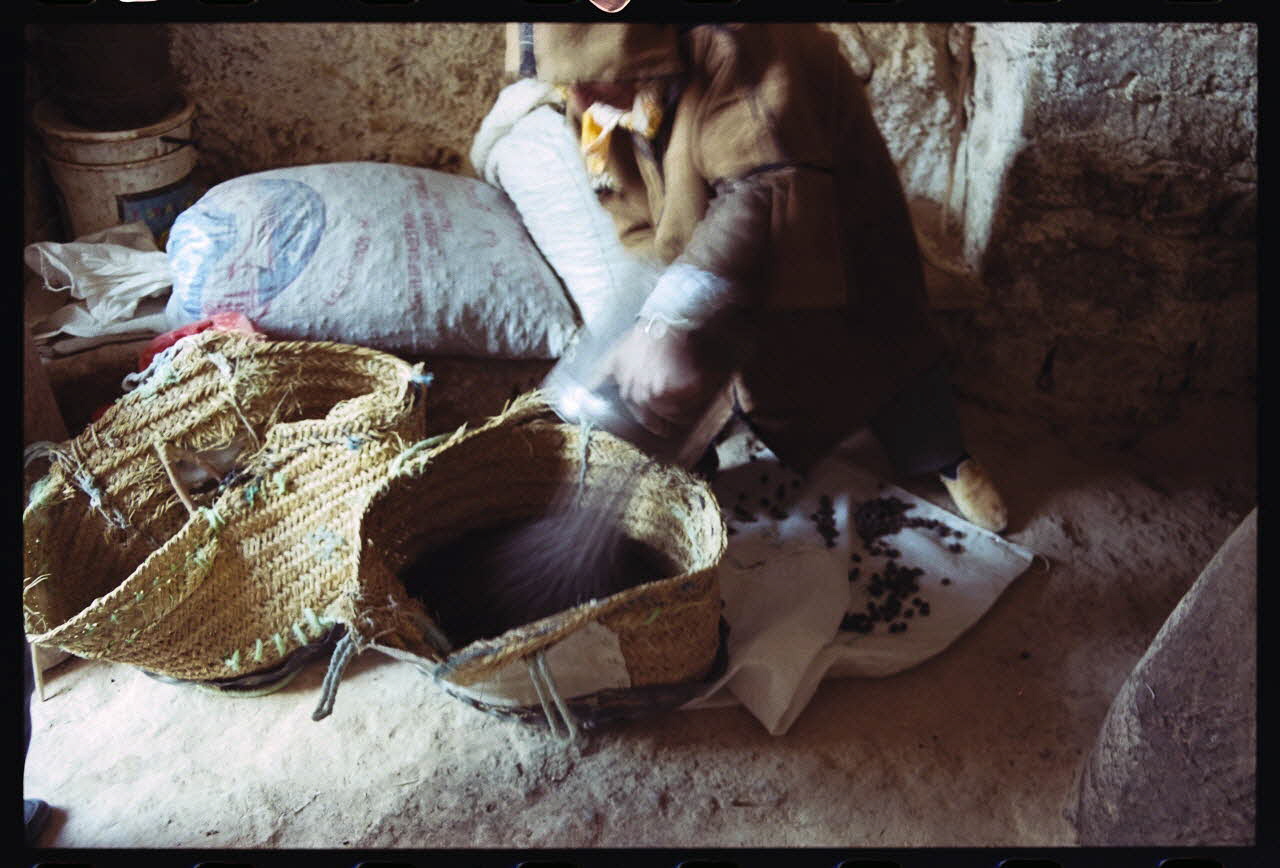 photographie MNATP. Enquête sur l'huile d'olive conduite par Jean-François Charnier (2003) Gouvernorat de Gabès, Tunisie 2003 Ph.2003.28.105 Photo
