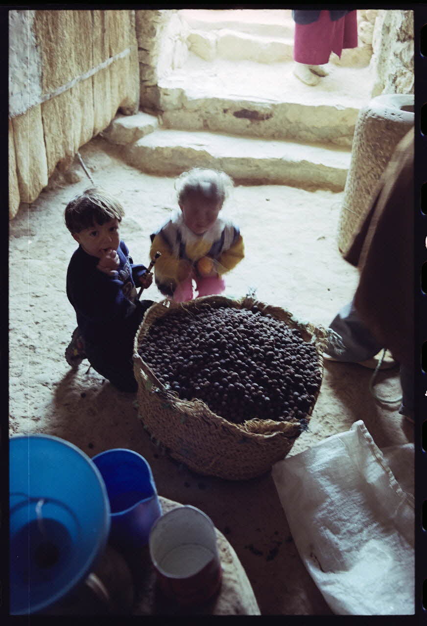 photographie MNATP. Enquête sur l'huile d'olive conduite par Jean-François Charnier (2003) Gouvernorat de Gabès, Tunisie 2003 Ph.2003.28.109 Photo