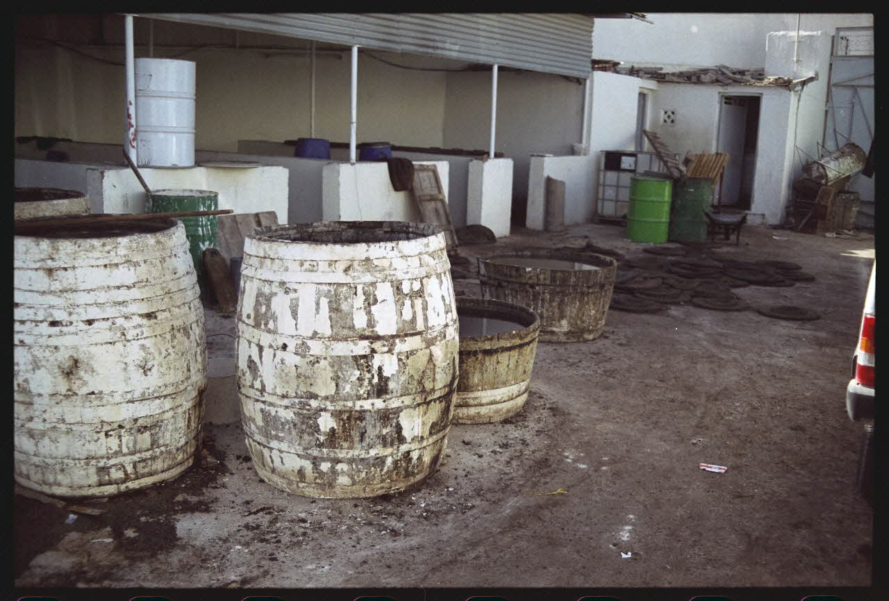 photographie MNATP. Enquête sur l'huile d'olive conduite par Jean-François Charnier (2003) Gouvernorat de Sfax, Tunisie 2003 Ph.2003.28.11 Photo