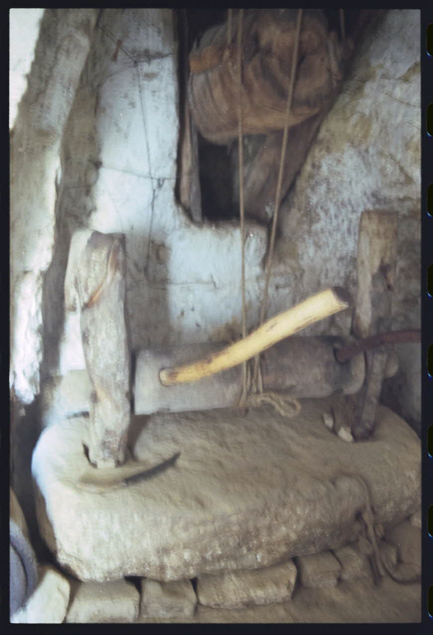 photographie MNATP. Enquête sur l'huile d'olive conduite par Jean-François Charnier (2003) Gouvernorat de Gabès, Tunisie 2003 Ph.2003.28.115 Photo