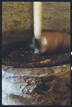 photographie MNATP. Enquête sur l'huile d'olive conduite par Jean-François Charnier (2003) Gouvernorat de Gabès, Tunisie 2003 Ph.2003.28.122 Photo