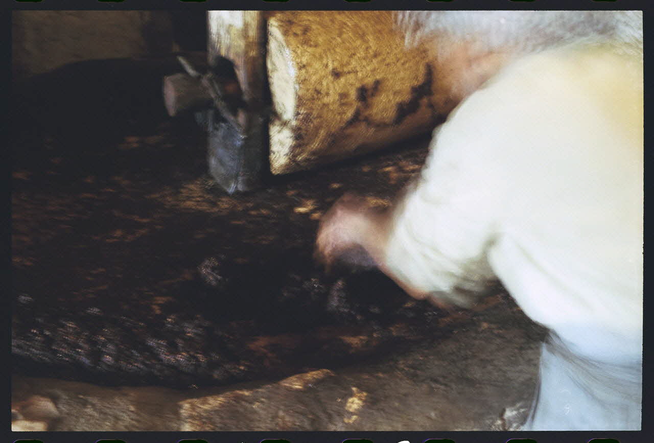 photographie MNATP. Enquête sur l'huile d'olive conduite par Jean-François Charnier (2003) Gouvernorat de Gabès, Tunisie 2003 Ph.2003.28.125 Photo