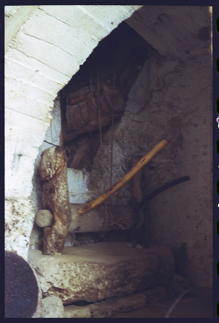 photographie MNATP. Enquête sur l'huile d'olive conduite par Jean-François Charnier (2003) Gouvernorat de Gabès, Tunisie 2003 Ph.2003.28.128 Photo