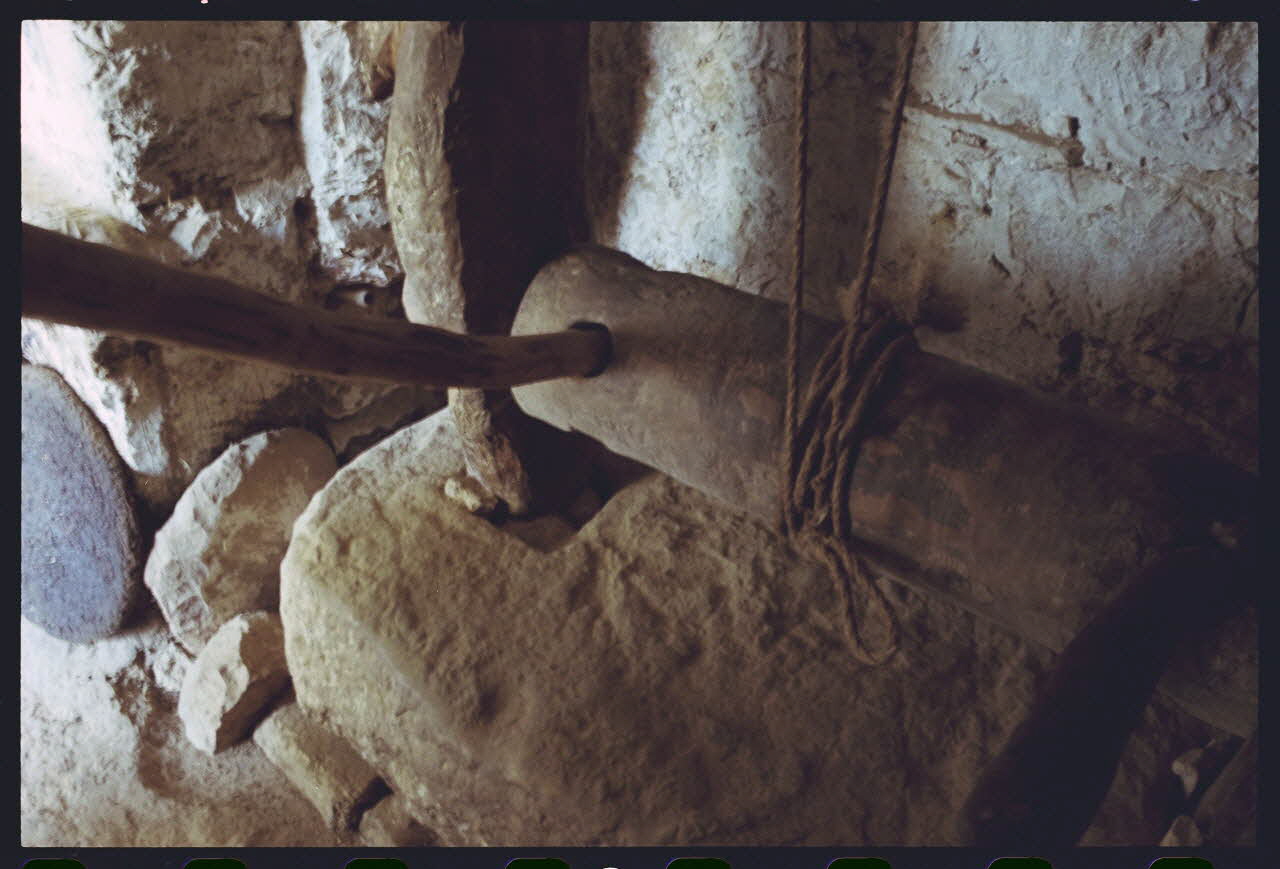 photographie MNATP. Enquête sur l'huile d'olive conduite par Jean-François Charnier (2003) Gouvernorat de Gabès, Tunisie 2003 Ph.2003.28.129 Photo