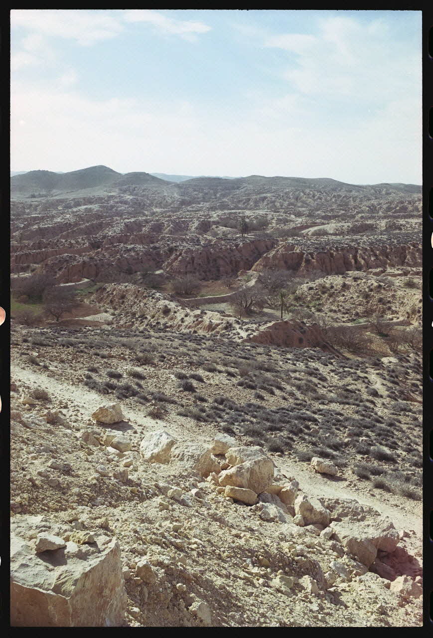 photographie MNATP. Enquête sur l'huile d'olive conduite par Jean-François Charnier (2002). Première mission Gouvernorat de Gabès, Tunisie 2002 Ph.2003.28.143 Photo