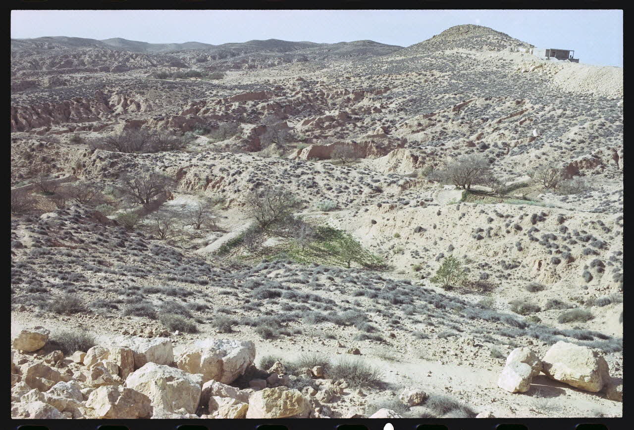 photographie MNATP. Enquête sur l'huile d'olive conduite par Jean-François Charnier (2002). Première mission Gouvernorat de Gabès, Tunisie 2002 Ph.2003.28.144 Photo