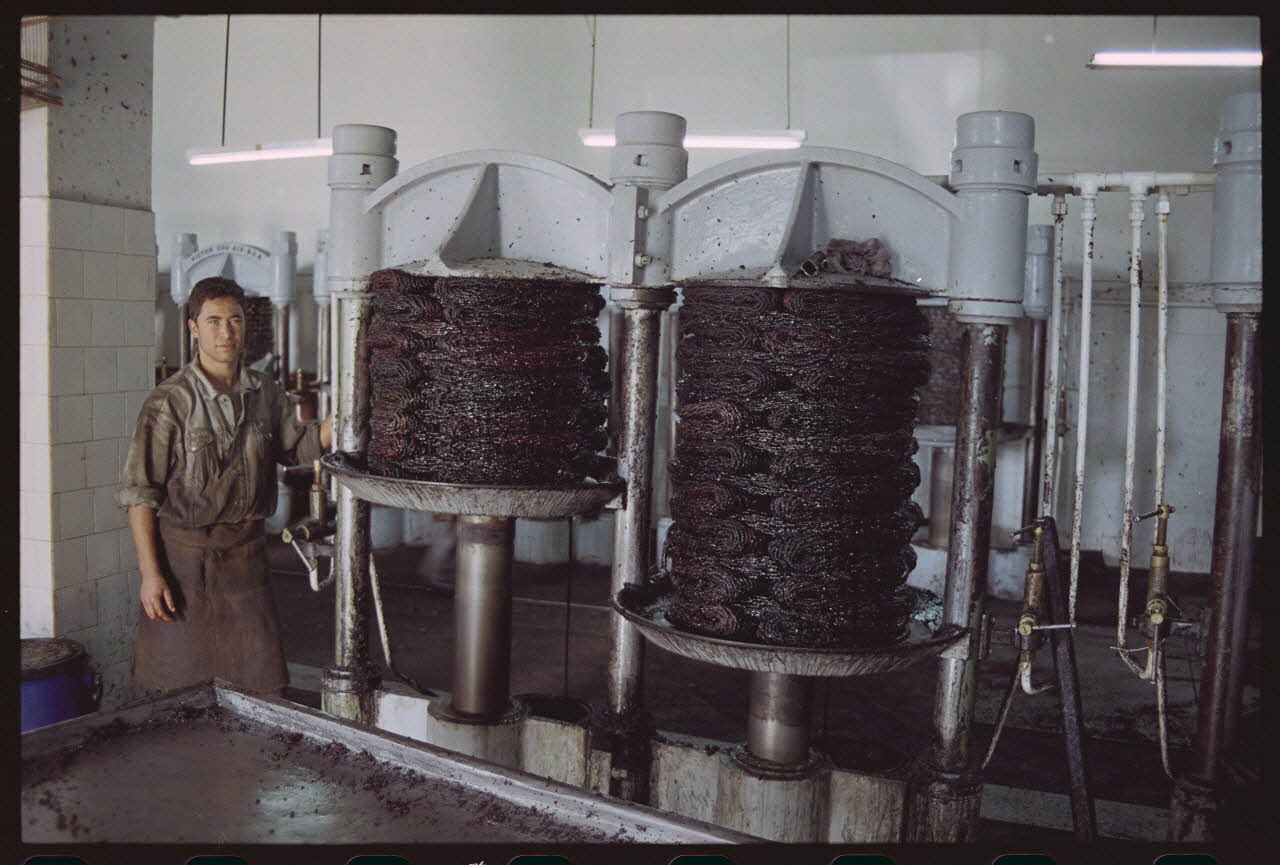 photographie MNATP. Enquête sur l'huile d'olive conduite par Jean-François Charnier (2003) Gouvernorat de Sfax, Tunisie 2003 Ph.2003.28.15 Photo