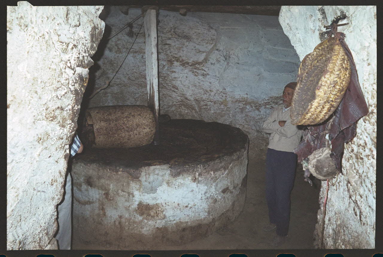 photographie MNATP. Enquête sur l'huile d'olive conduite par Jean-François Charnier (2002). Première mission Gouvernorat de Gabès, Tunisie 2002 Ph.2003.28.151  Photo