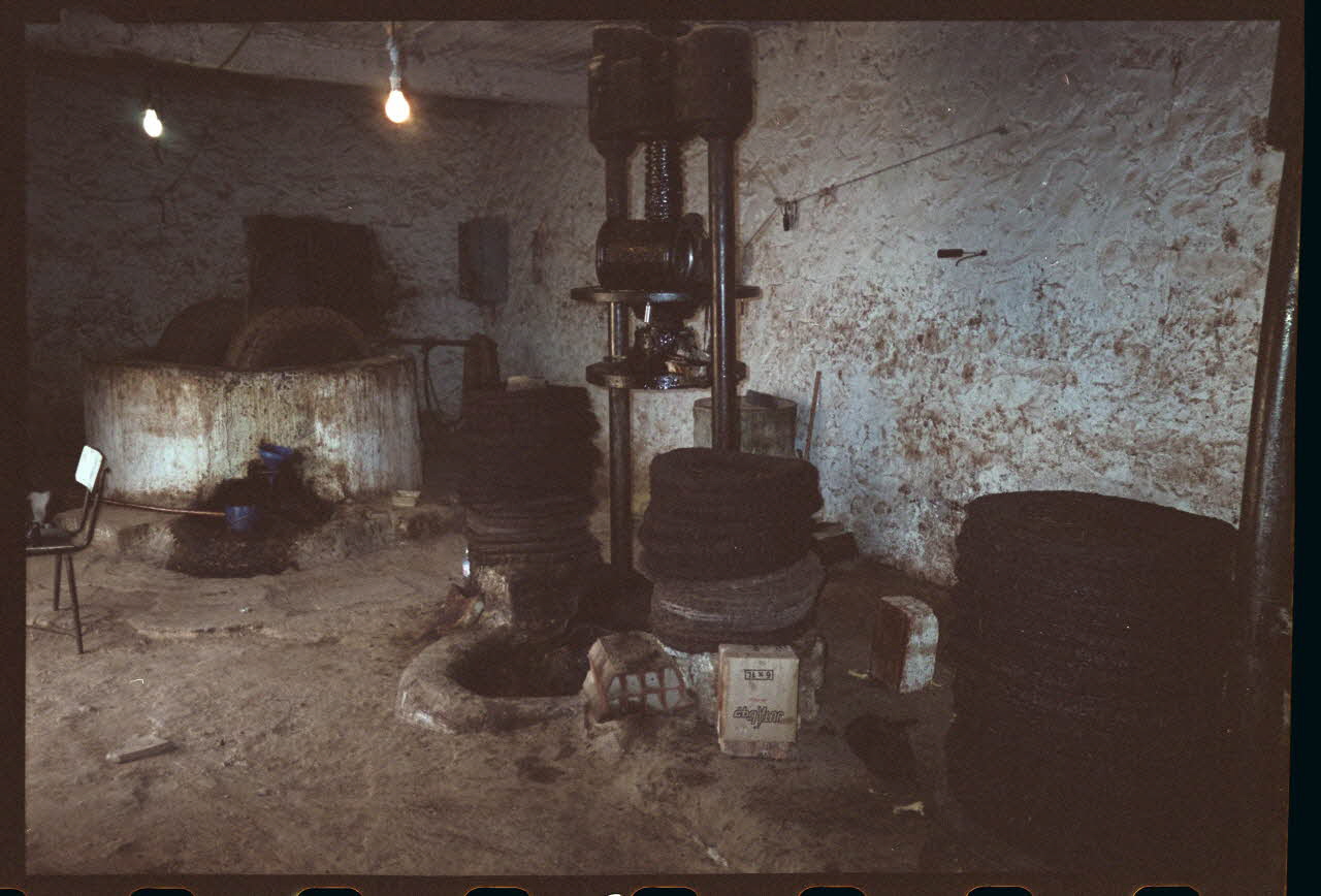 photographie MNATP. Enquête sur l'huile d'olive conduite par Jean-François Charnier (2002). Première mission Gouvernorat de Gabès, Tunisie 2002 Ph.2003.28.156 Photo