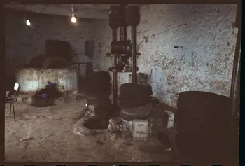 photographie MNATP. Enquête sur l'huile d'olive conduite par Jean-François Charnier (2002). Première mission Gouvernorat de Gabès, Tunisie 2002 Ph.2003.28.156 Photo