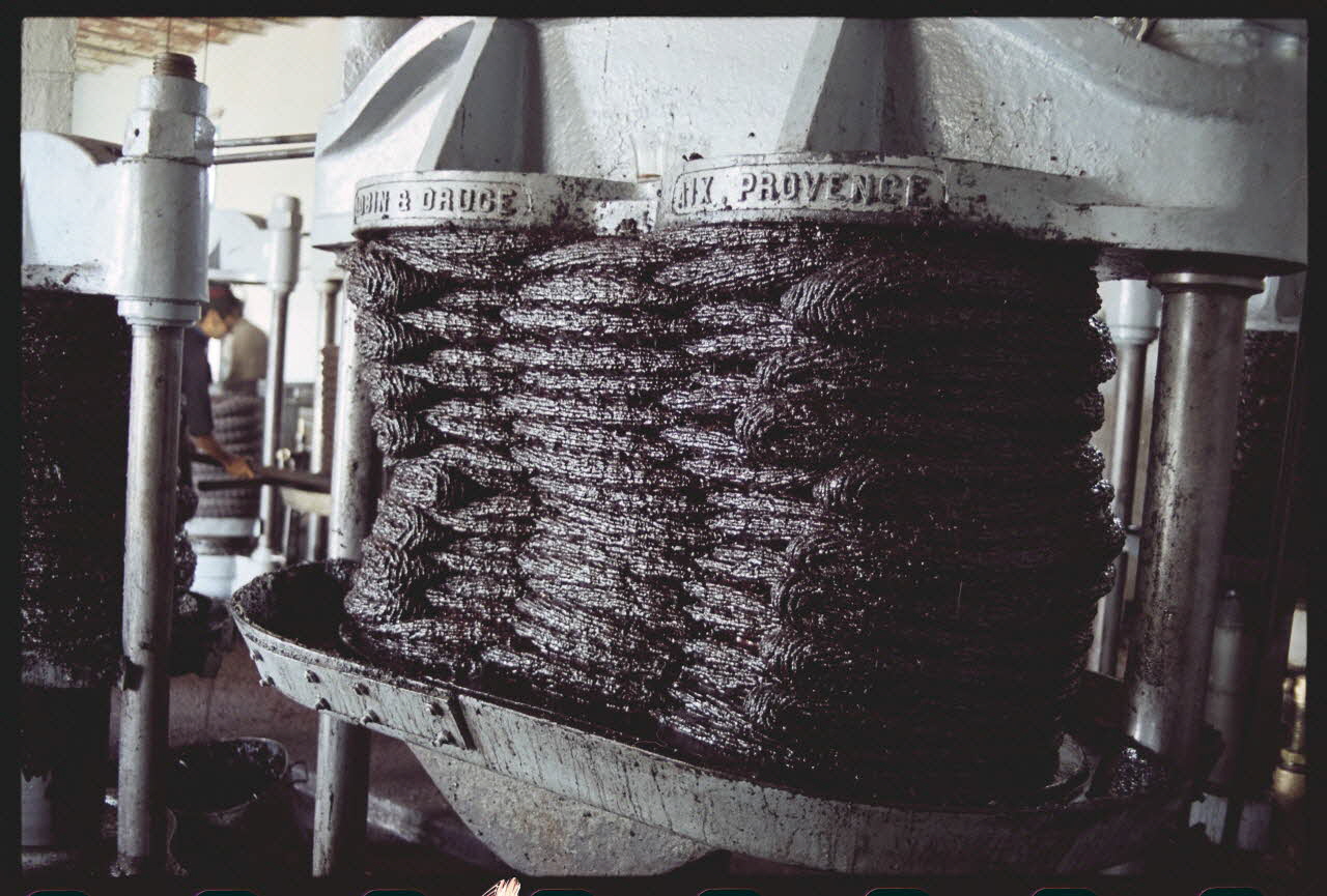 photographie MNATP. Enquête sur l'huile d'olive conduite par Jean-François Charnier (2003) Gouvernorat de Sfax, Tunisie 2003 Ph.2003.28.16 Photo