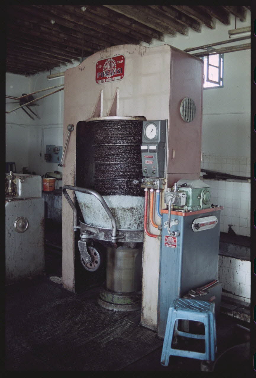 photographie MNATP. Enquête sur l'huile d'olive conduite par Jean-François Charnier (2003) Gouvernorat de Sfax, Tunisie 2003 Ph.2003.28.18 Photo
