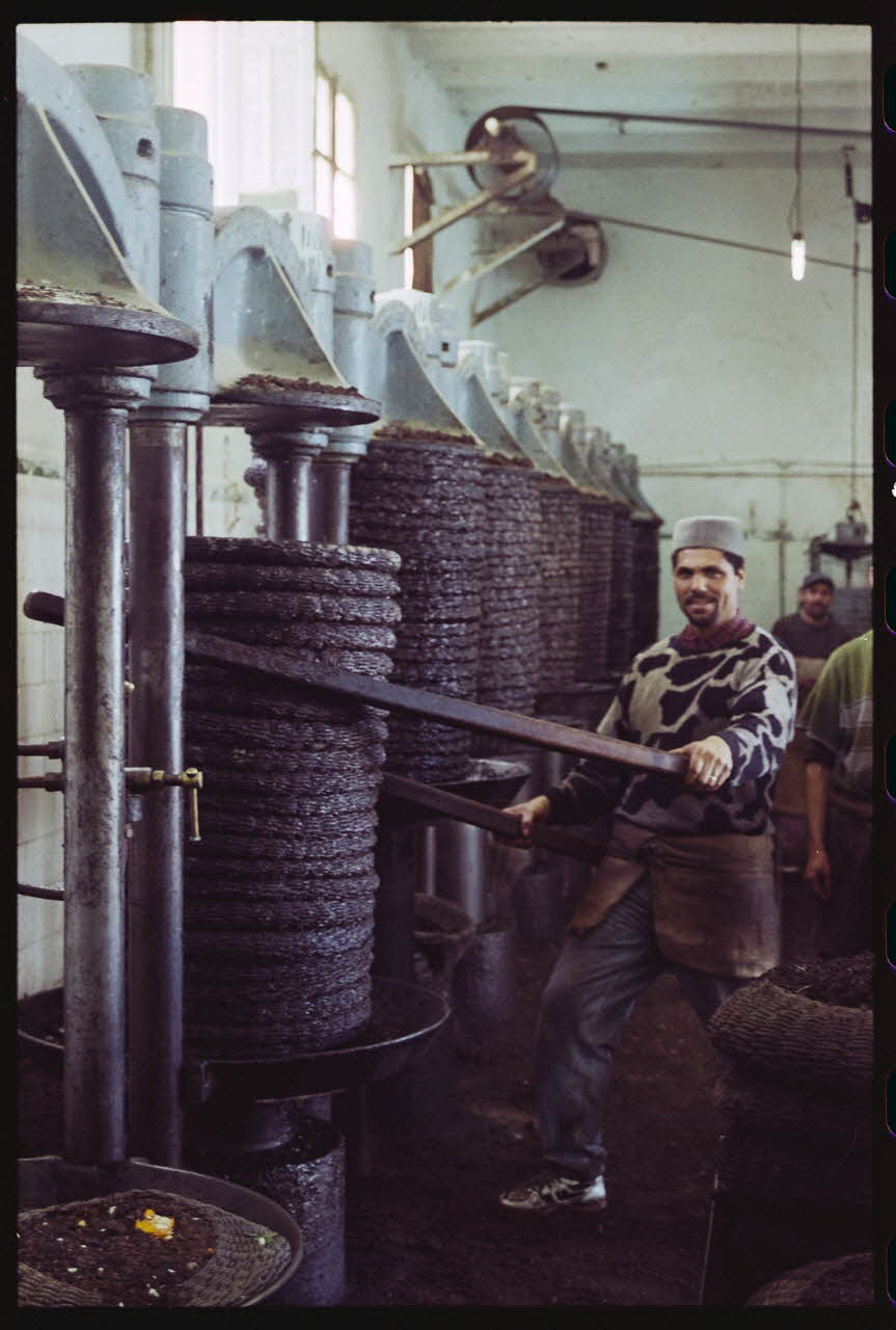 photographie MNATP. Enquête sur l'huile d'olive conduite par Jean-François Charnier (2003) Gouvernorat de Sfax, Tunisie 2003 Ph.2003.28.28 Photo