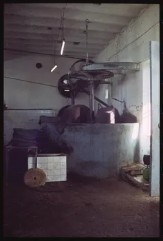 photographie MNATP. Enquête sur l'huile d'olive conduite par Jean-François Charnier (2003) Gouvernorat de Sfax, Tunisie 2003 Ph.2003.28.48 Photo