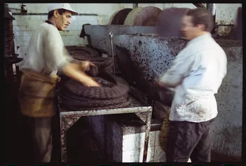 photographie MNATP. Enquête sur l'huile d'olive conduite par Jean-François Charnier (2003) Gouvernorat de Sfax, Tunisie 2003 Ph.2003.28.49 Photo