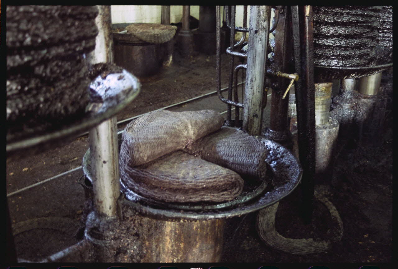 photographie MNATP. Enquête sur l'huile d'olive conduite par Jean-François Charnier (2003) Gouvernorat de Sfax, Tunisie 2003 Ph.2003.28.50 Photo