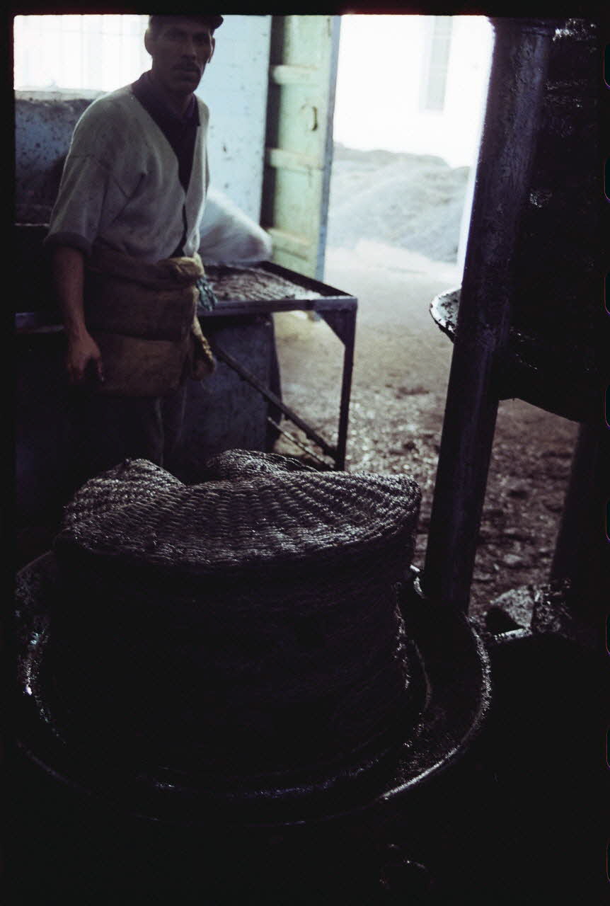 photographie MNATP. Enquête sur l'huile d'olive conduite par Jean-François Charnier (2003) Gouvernorat de Sfax, Tunisie 2003 Ph.2003.28.51 Photo