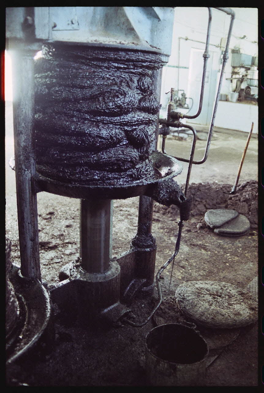 photographie MNATP. Enquête sur l'huile d'olive conduite par Jean-François Charnier (2003) Gouvernorat de Sfax, Tunisie 2003 Ph.2003.28.52 Photo