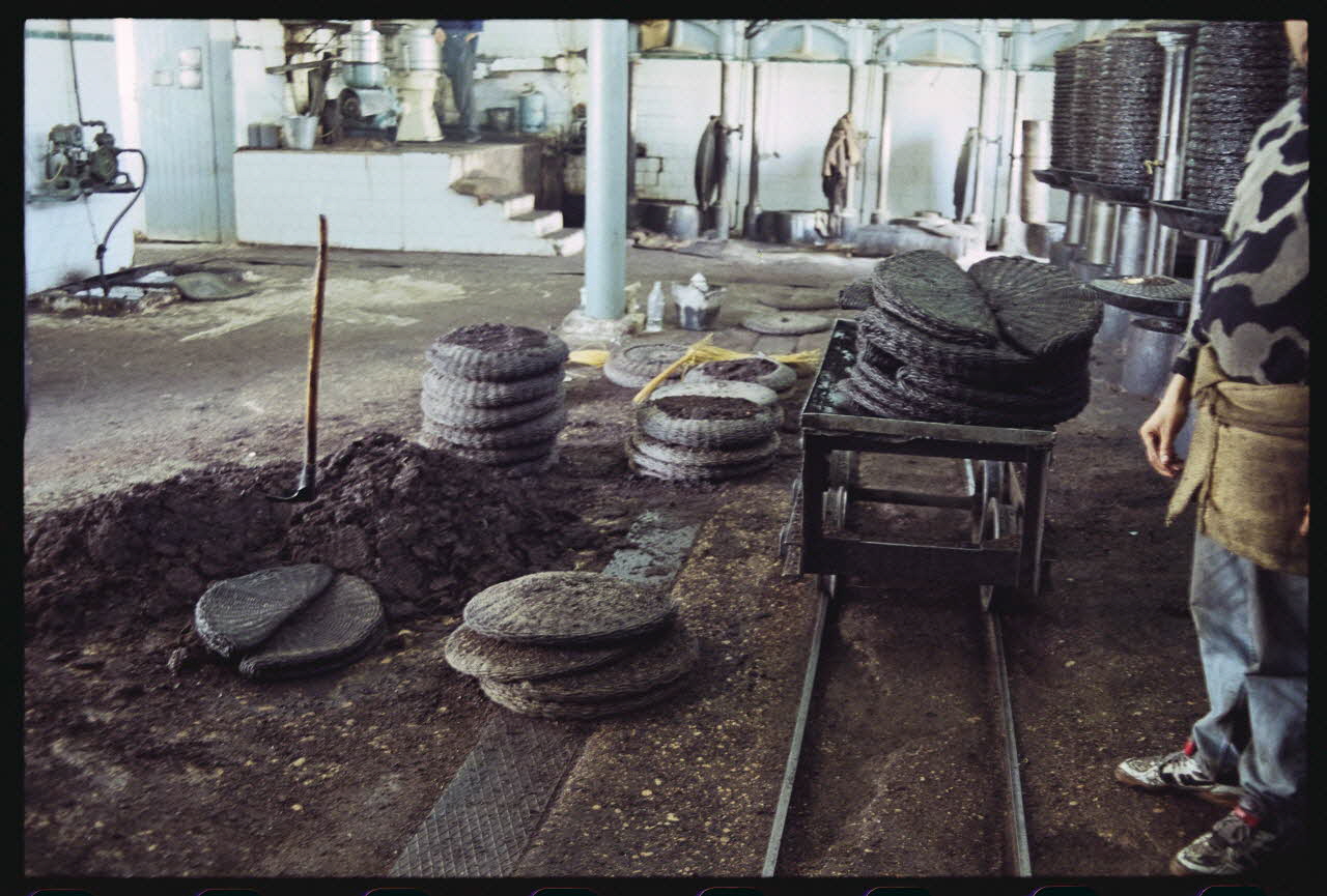 photographie MNATP. Enquête sur l'huile d'olive conduite par Jean-François Charnier (2003) Gouvernorat de Sfax, Tunisie 2003 Ph.2003.28.54 Photo