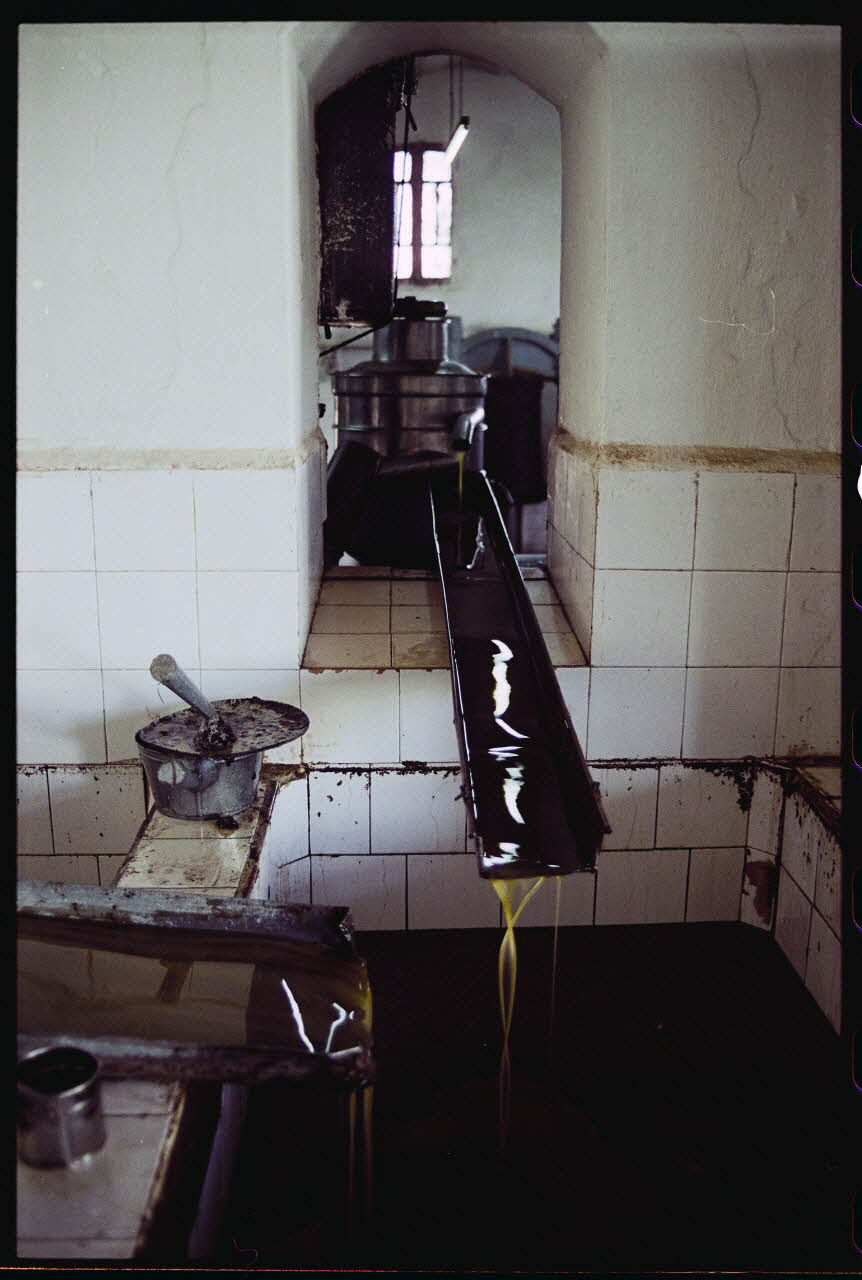 photographie MNATP. Enquête sur l'huile d'olive conduite par Jean-François Charnier (2003) Gouvernorat de Sfax, Tunisie 2003 Ph.2003.28.59 Photo