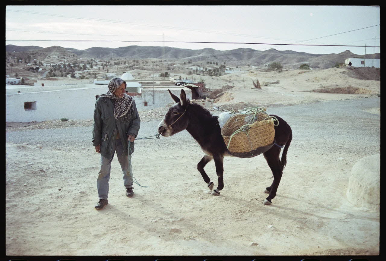 photographie MNATP. Enquête sur l'huile d'olive conduite par Jean-François Charnier (2003) Gouvernorat de Gabès, Tunisie 2003 Ph.2003.28.73 Photo