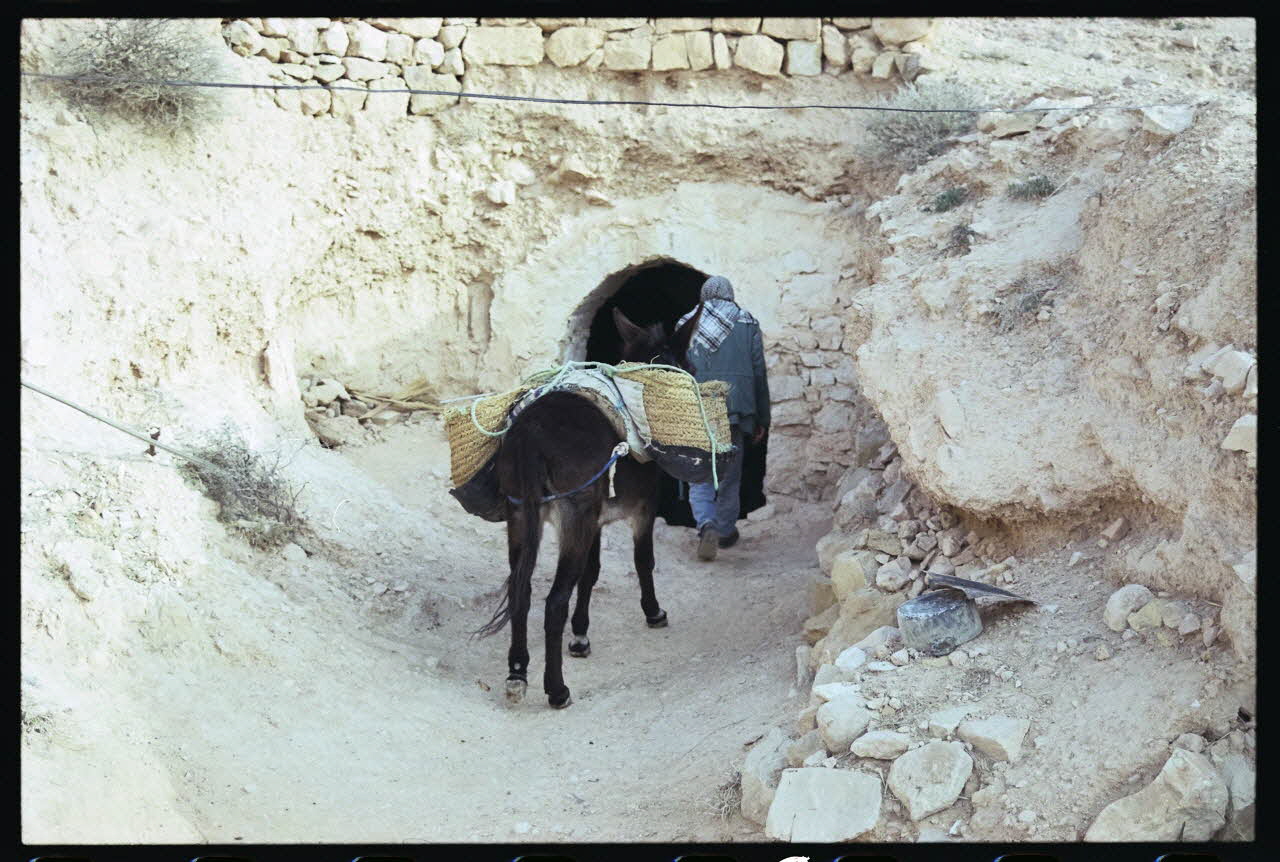 photographie MNATP. Enquête sur l'huile d'olive conduite par Jean-François Charnier (2003) Gouvernorat de Gabès, Tunisie 2003 Ph.2003.28.75 Photo