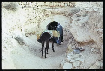 photographie MNATP. Enquête sur l'huile d'olive conduite par Jean-François Charnier (2003) Gouvernorat de Gabès, Tunisie 2003 Ph.2003.28.75 Photo