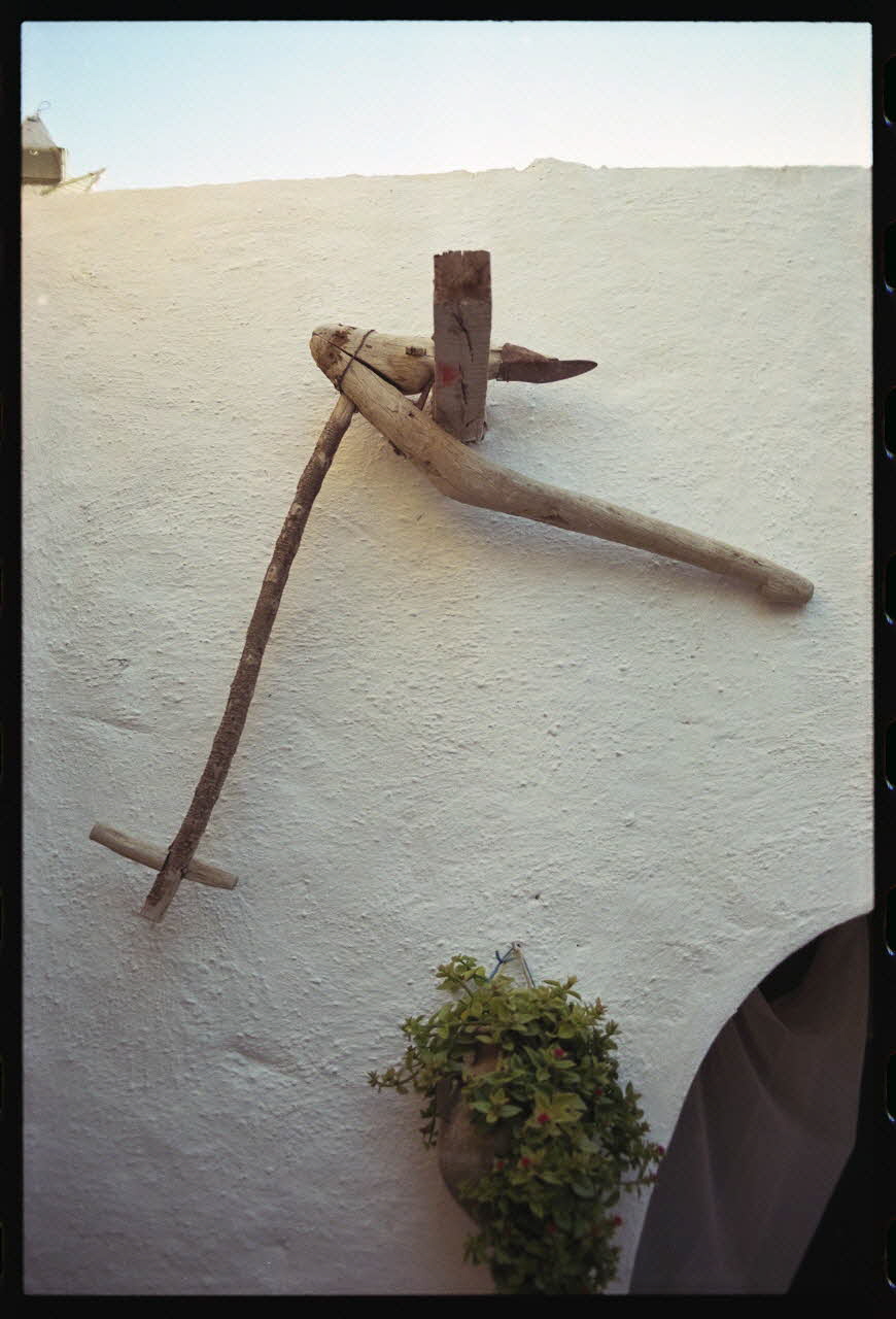 photographie MNATP. Enquête sur l'huile d'olive conduite par Jean-François Charnier (2003) Gouvernorat de Gabès, Tunisie 2003 Ph.2003.28.82 Photo