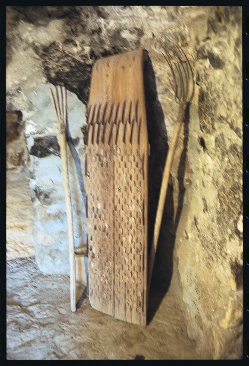 photographie MNATP. Enquête sur l'huile d'olive conduite par Jean-François Charnier (2003) Gouvernorat de Gabès, Tunisie 2003 Ph.2003.28.84 Photo