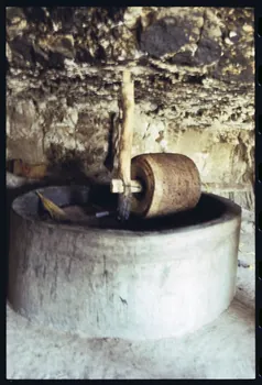 photographie MNATP. Enquête sur l'huile d'olive conduite par Jean-François Charnier (2003) Gouvernorat de Gabès, Tunisie 2003 Ph.2003.28.92 Photo