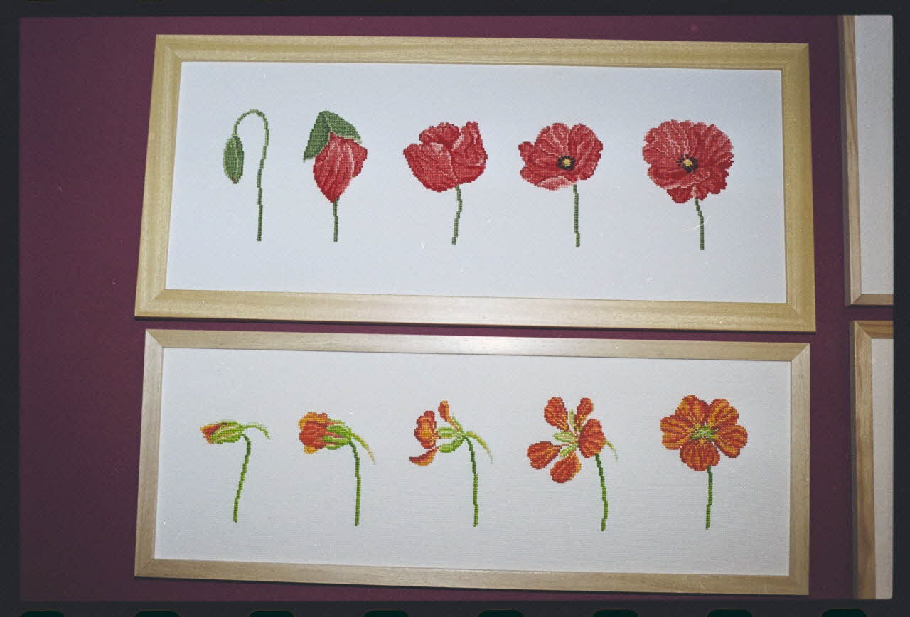 Hervé Jézéquel ; Danièle Adam photographie MNATP. Exposition. Point de croix : au bonheur des filles (13 novembre 2001 - 5 mars 2002) Ile-de-France, France 2001/11/13 Ph.2011.00.36.54 Photo