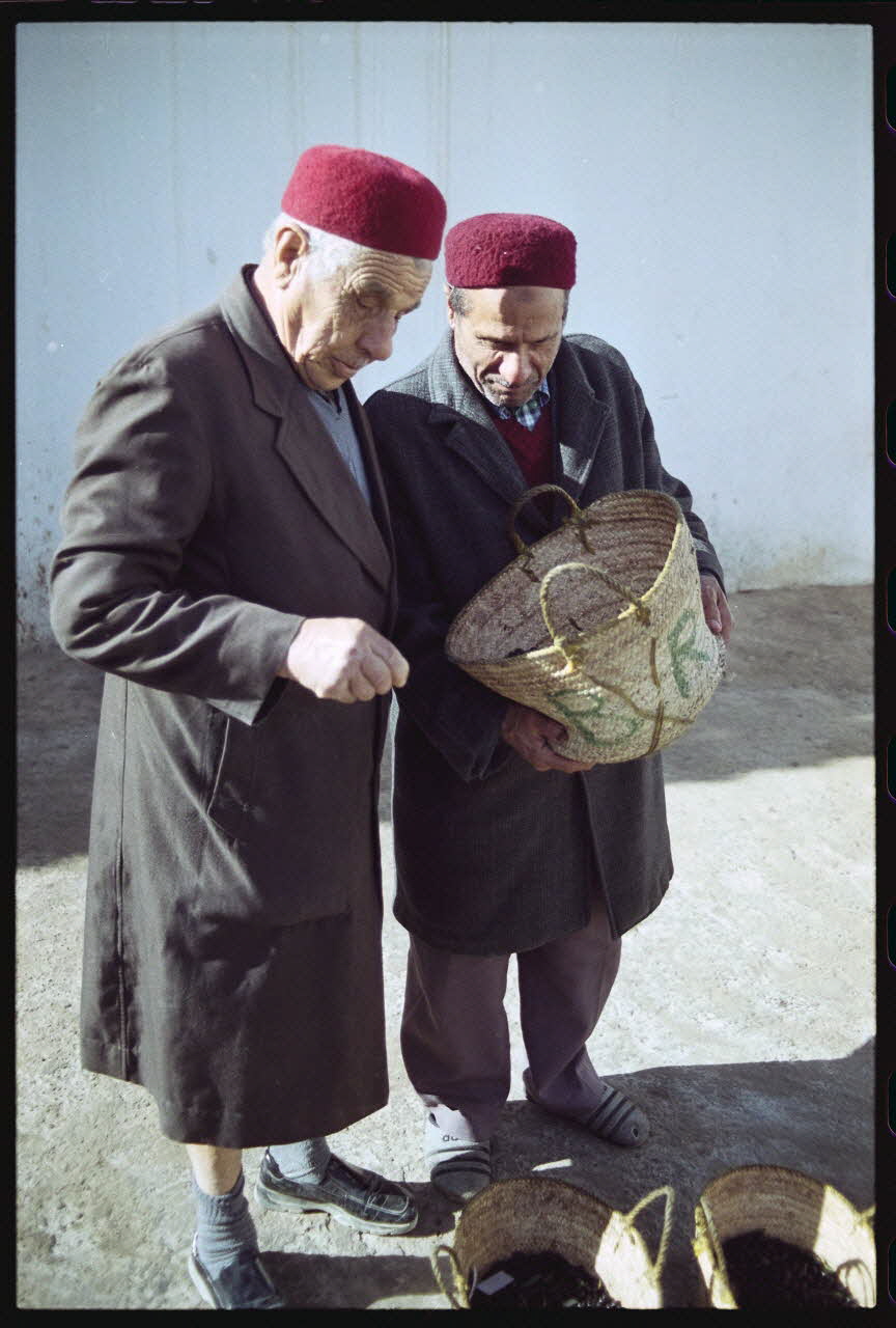 photographie MNATP. Enquête sur l'huile d'olive conduite par Jean-François Charnier (2003) Gouvernorat de Sfax, Tunisie 2003 Ph.2003.28.9 Photo