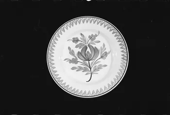 Alain Guey photographie Assiette à décor floral provenant de Sarreguemines. Datée de la fin du 19è siècle Ile-de-France, France 1973/7/21 Ph.1973.89.181 Photo