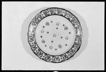 A. Chastanier photographie Assiette Ile-de-France, France 1973/7/21 Ph.1973.89.331 Photo