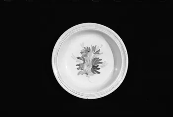A. Chastanier photographie Plat creux en terre vernissée de Quimper. 19è siècle Ile-de-France, France 1973/7/21 Ph.1973.89.336  Photo