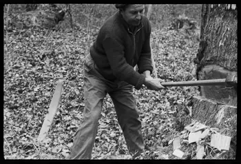 David Ojalvo photographie Bûcheron. Une saignée est faite à la hache Aquitaine, France 1964/2/5 Ph.1964.93.137 Photo
