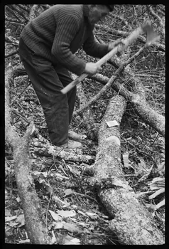 David Ojalvo photographie Bûcheron. Débitage d'une branche en billes pour bois de chauffage Aquitaine, France 1964/2/5 Ph.1964.93.146 Photo