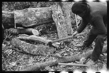 David Ojalvo photographie Bûcheron. Refente d'une bille, utilisation du coin Aquitaine, France 1964/2/5 Ph.1964.93.158 Photo
