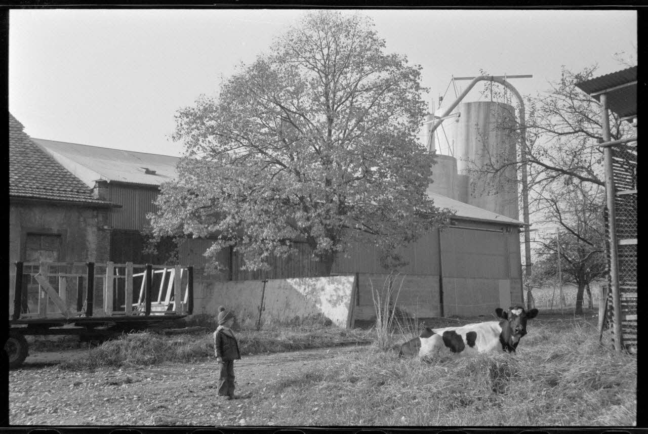 photographie MNATP. Chantier 1425. Enquête sur l'architecture rurale de la France II (1973-1990) Ph.1973.151.11 Photo