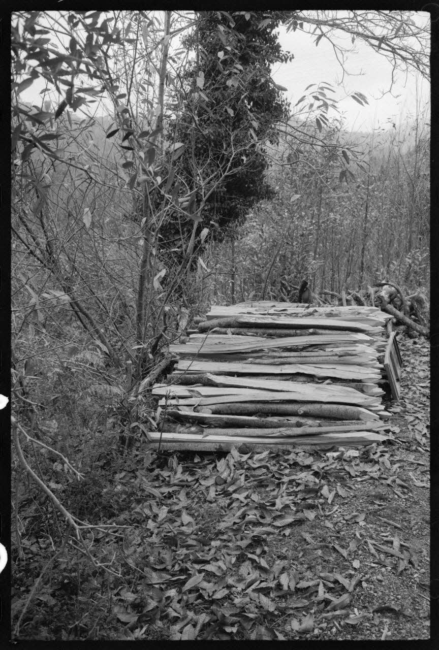 photographie (PH 52 et 53) Mission Corse Ph.1973.217.52 Photo
