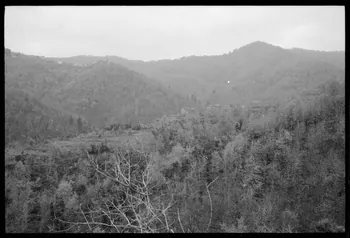 photographie Mission Corse Ph.1973.217.55  Photo