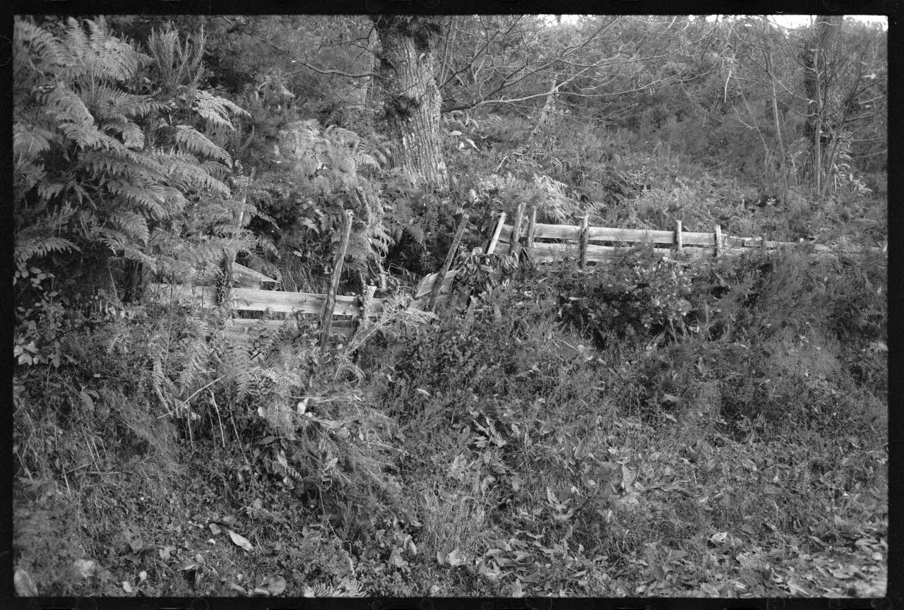 photographie (PH 56 et 57) Mission Corse Ph.1973.217.56 Photo