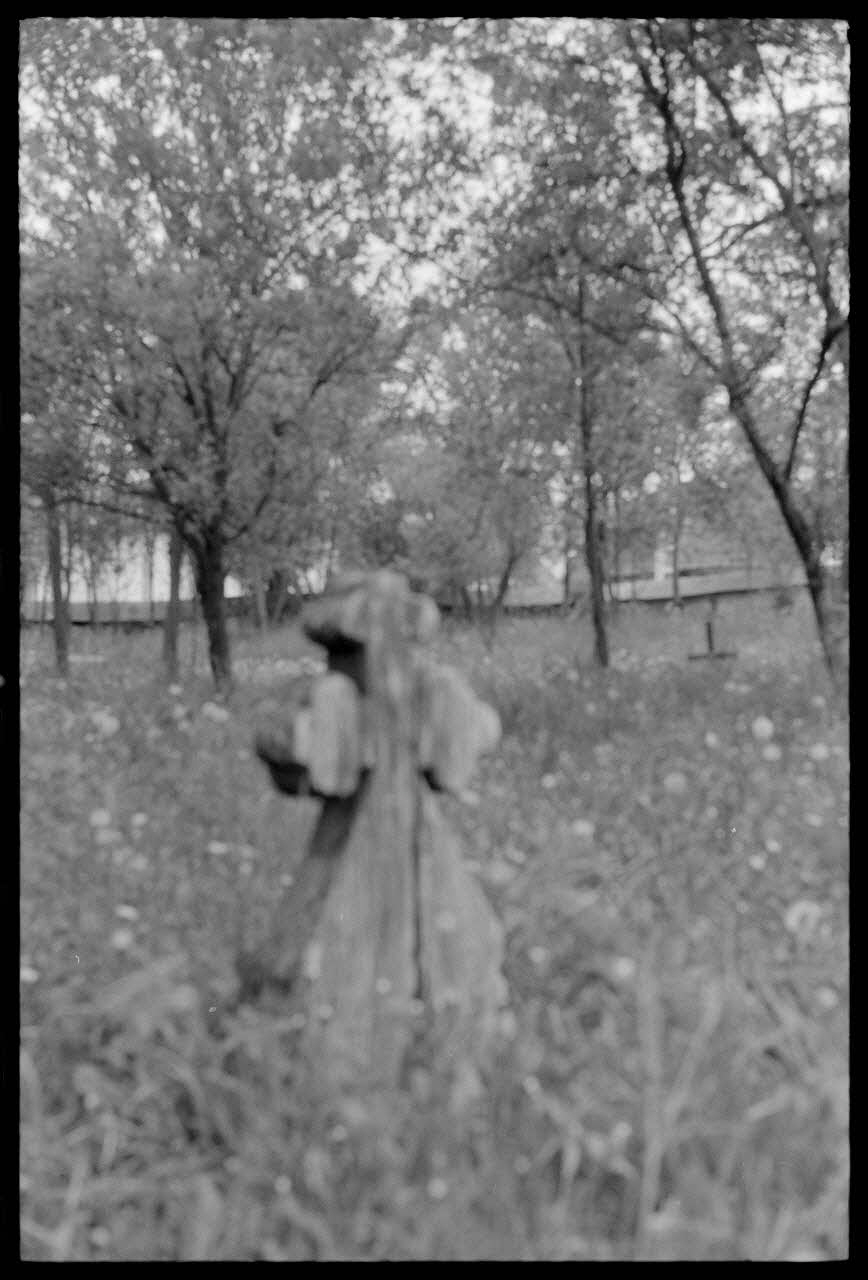 Jean Cuisenier photographie Enquête conduite par Jean Cuisenier en Roumanie (mai 1973) Roumanie 1973/5/1 Ph.1974.3.175  Photo
