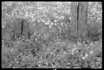 Jean Cuisenier photographie Enquête conduite par Jean Cuisenier en Roumanie (mai 1973) Roumanie 1973/5/1 Ph.1974.3.176  Photo