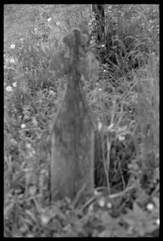 Jean Cuisenier photographie Enquête conduite par Jean Cuisenier en Roumanie (mai 1973) Roumanie 1973/5/1 Ph.1974.3.181  Photo