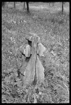 Jean Cuisenier photographie Enquête conduite par Jean Cuisenier en Roumanie (mai 1973) Roumanie 1973/5/1 Ph.1974.3.187  Photo