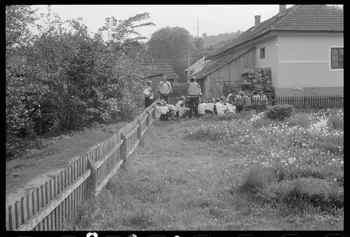 Jean Cuisenier photographie Enquête conduite par Jean Cuisenier en Roumanie (mai 1973) Roumanie 1973/5/1 Ph.1974.3.222 Photo